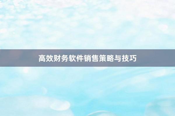 高效财务软件销售策略与技巧